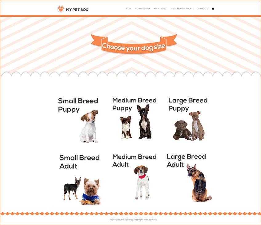 choose dog size final