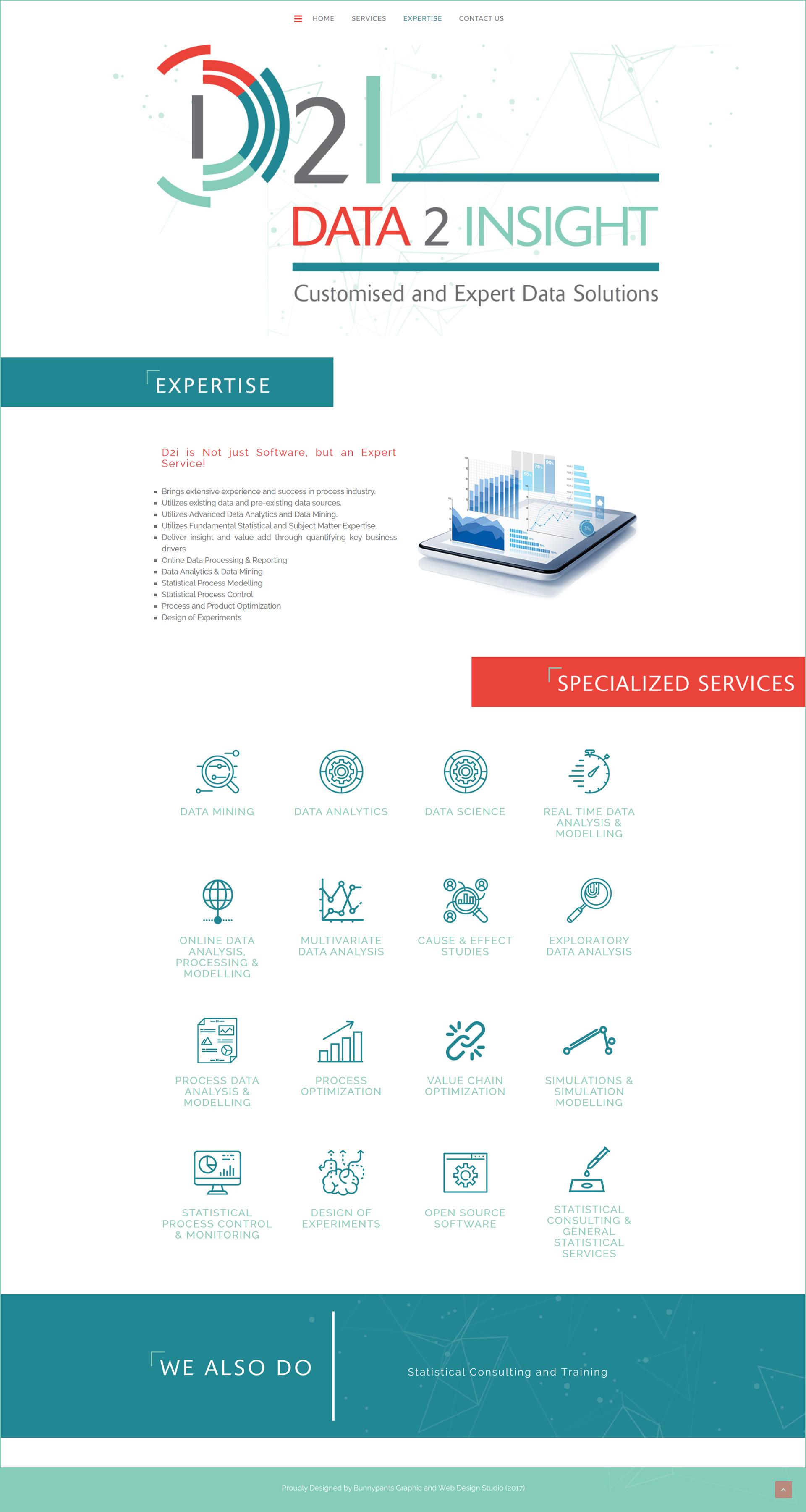 bunnypants data2insight web design expertise page