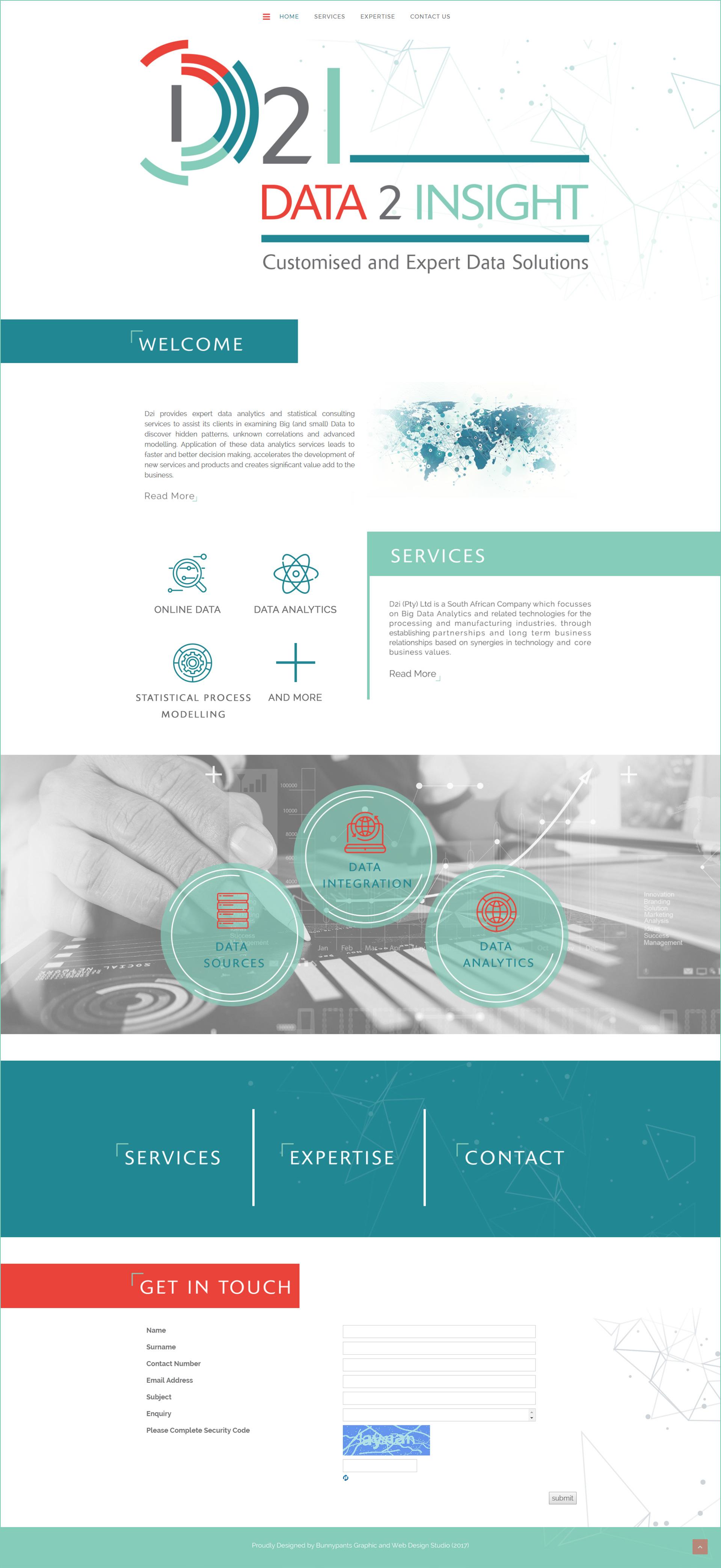bunnypants data2insight web design home page