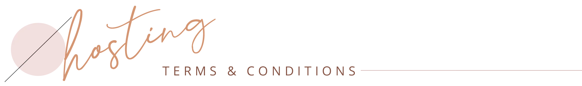 hosting-terms-conditions-title Hosting terms and conditions
