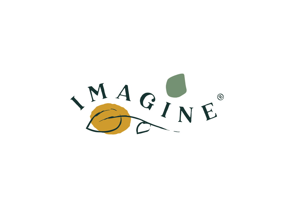 vaal triangle logo design services option3 vaal triangle logo design services option3